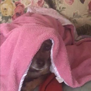 Meet your Posher, Grace